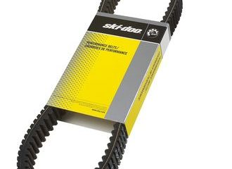 417300155